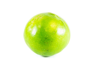 The Lime Fruit