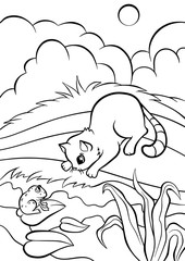 Little cute cat sits on a bank and looks at the frog.