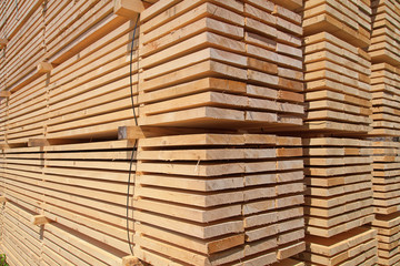 Fresh wooden studs