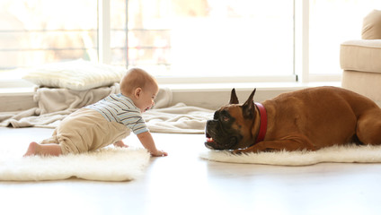 Little baby boy with boxer dog lying at home