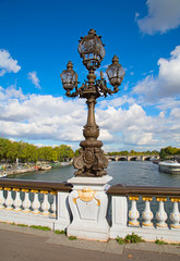 Fototapeta na wymiar Bridge of Alexandre III in Paris
