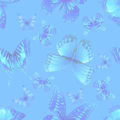 Obraz na płótnie Canvas butterfly 06 blue