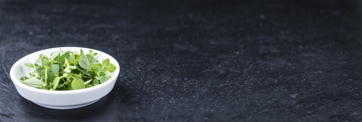 Portion of fresh Oregano