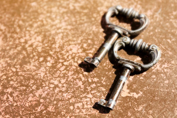 Obraz na płótnie Canvas Vintage keys on a brown background