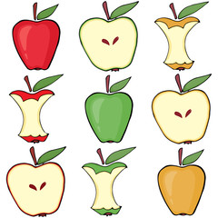 Apple, apple core, half apple