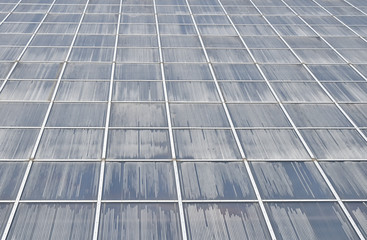 Greenhouse wall surface in perspective