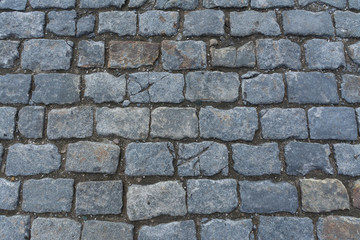 slabs gray paving slabs