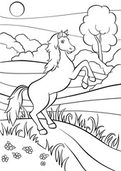Cute horse jumps and smiles.