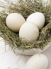 Quattro freschissime uova di gallina ruspante su paglia dentro una ciotola