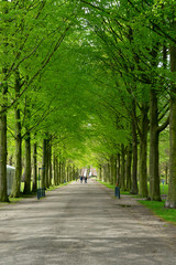 Fototapeta na wymiar Clingendael park, Den Haag, Netherlands