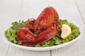 delicious lobster in plate with lemon slice