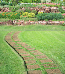 Garden landscape and pavement