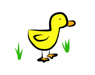 Illustration of a duck