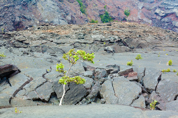 Crater floor © georgeburba