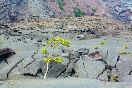 Crater floor