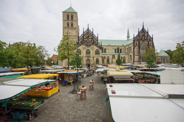 Wochenmarkt vor dem St.-Paulus-DOM in Münster, Nordrhein-Westfalen