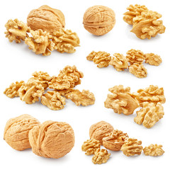 Set of walnuts