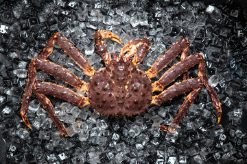 Big delicious crab on the ice.