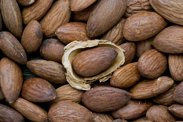 almond with husk