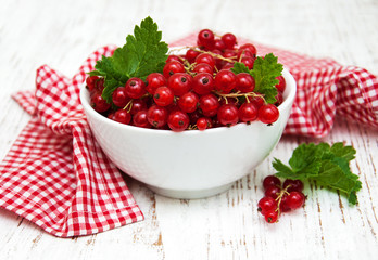 fresh red currant
