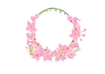 crown pink  flowers isolated on white background,