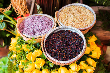 Three types of rice seedlings in a basket