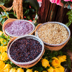 Three types of rice seedlings in a basket