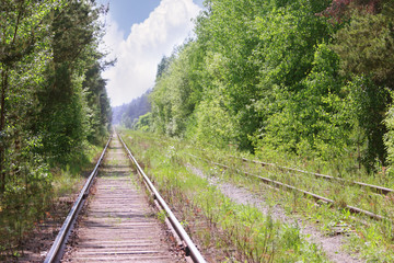 Old rusty railway among green trees at summer sunny day
