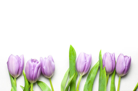 Purple tulips on a pearl color tile with copy space