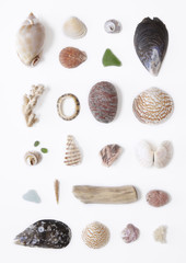 Beach Combing