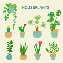 Vector collection of houseplants and flowers in pots. Vector flat illustration