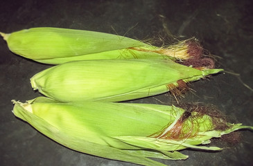 Maize the corn in Macro © drpgayen