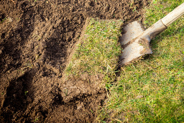 Fototapeta premium Lawn digging