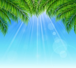 Palm leaf on blue sky with bright sun