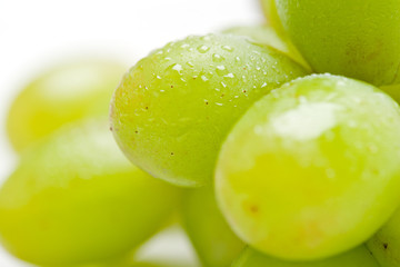 Isolated Grape