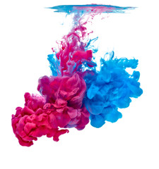 Fototapeta premium paint in water color liquid blue red