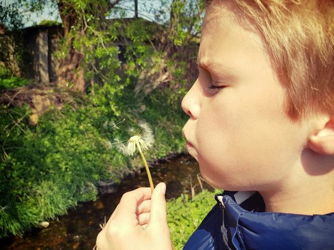 Blowing a dandelion