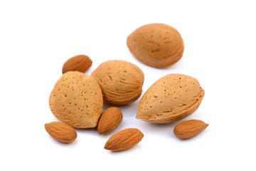 Fresh almonds in shells isolated on white background