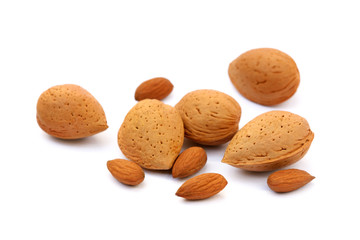 Fresh almonds in shells isolated on white background