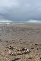 Fototapeta na wymiar Heart shape made of Mussels on a sandy beach in Margate, Kent, UK