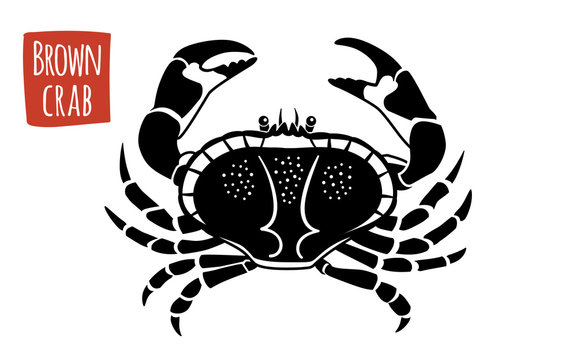 Brown Crab, vector cartoon illustration
