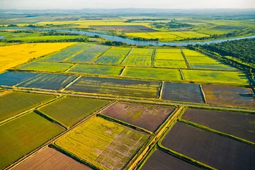 Fotobehang Luchtfoto Cultivation of cereals. Krasnodar region, top view