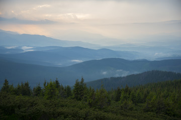 Summer evening landscape in the Carpathians