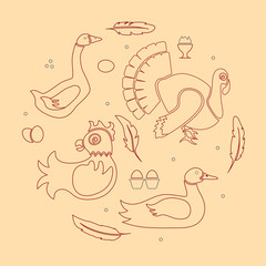 Set logotype poultry farm in modern thin line design. Perfect organic farm products banner or flyer. Vector illustration. eps 10