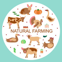 Fototapeta premium 288_Set logotype eco farm