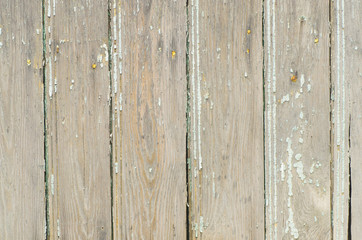 wooden background texture
