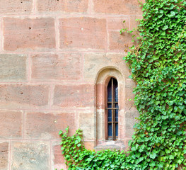 Fototapeta na wymiar Vergittertes Rundbogenfenster in alter Mauer mit Efeu umwachsen