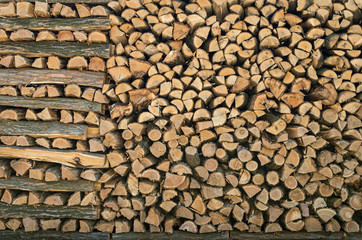 Pile of wood logs