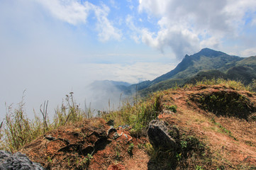 sea of mist at Doi Pha Tang,Chiang Rai,northern Thailand.Province,Thailand