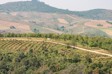 Naklejka premium Small dirt road